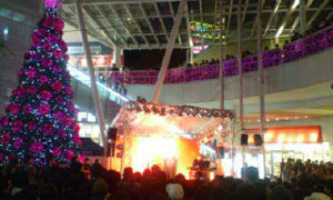 各種イベント出演